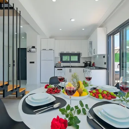 Villa Happy House - Luxury With Private Pool Kargı